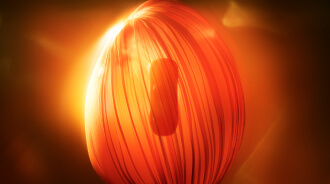 ギャラリー01 サムネイル03